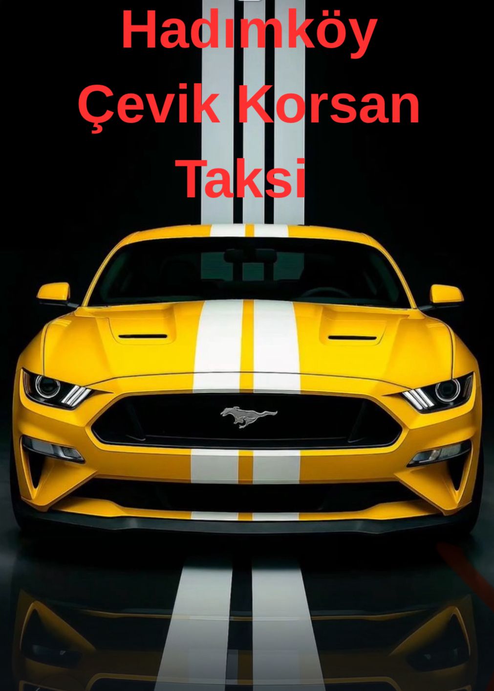 “Hadımköy’de hızlı ve güvenli taksi hizmeti sunan Çevik Taksi”